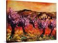 Stretched Canvas