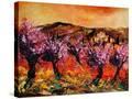 Stretched Canvas