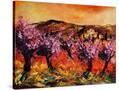 Stretched Canvas