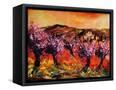Canvas Black