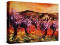 Stretched Canvas