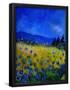 Essential Black