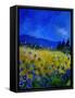 Canvas Black