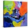 Stretched Canvas