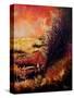 Stretched Canvas