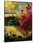 Stretched Canvas