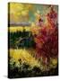 Stretched Canvas