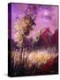 Stretched Canvas