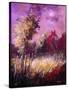 Stretched Canvas