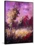 Stretched Canvas