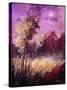 Stretched Canvas