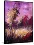 Stretched Canvas