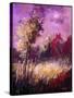 Stretched Canvas