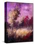 Stretched Canvas