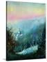 Stretched Canvas