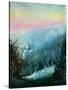 Stretched Canvas