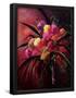 Essential Black