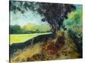 Stretched Canvas