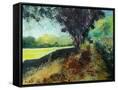 Canvas Black