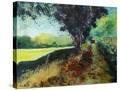 Stretched Canvas