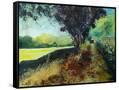 Canvas Black