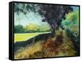 Canvas Black