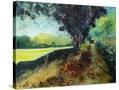 Stretched Canvas