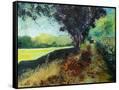 Canvas Black