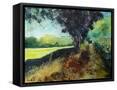 Canvas Black