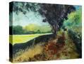 Stretched Canvas