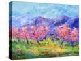 Stretched Canvas
