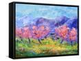 Canvas Black