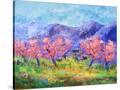 Stretched Canvas