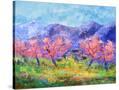 Stretched Canvas