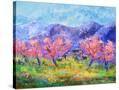 Stretched Canvas