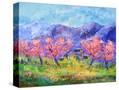 Stretched Canvas