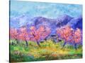 Stretched Canvas