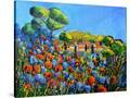 Stretched Canvas