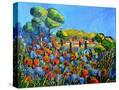 Stretched Canvas