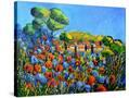 Stretched Canvas