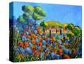 Stretched Canvas