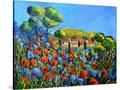 Stretched Canvas