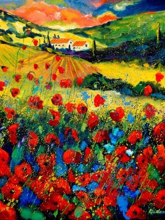 Poppies In Tuscany