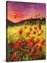 Stretched Canvas