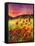 Canvas Black
