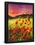 Essential Black