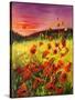Stretched Canvas