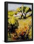 Essential Black