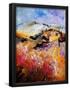 Essential Black