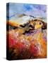 Stretched Canvas
